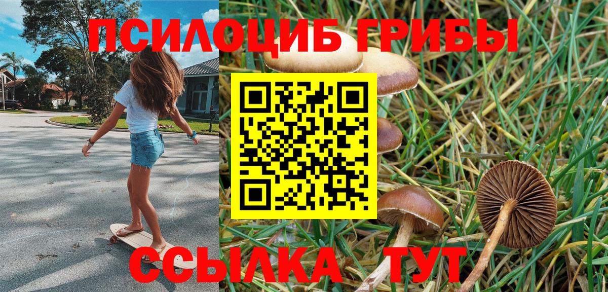 Ейск  Псилоцибиновые грибы мицелий  Псилоцибиновые грибы Magic Shrooms  Вход с VPN 